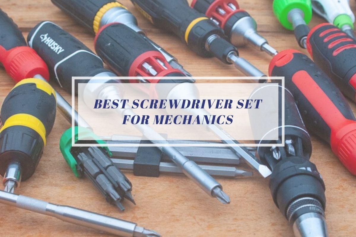 Best Screwdriver Set for Mechanics