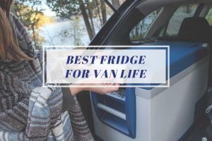 Best Fridge for Van Life