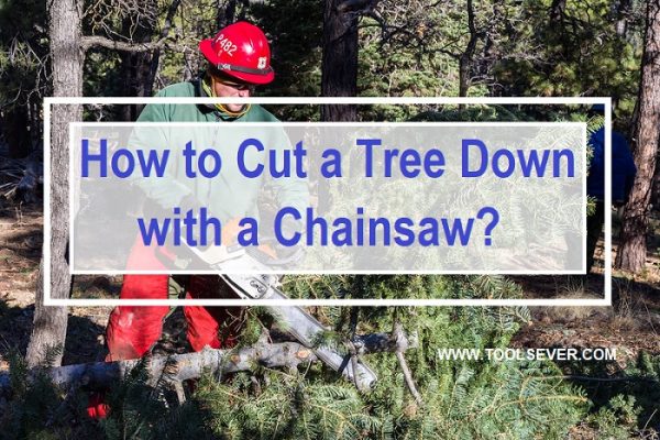 How to Cut a Tree Down with a Chainsaw